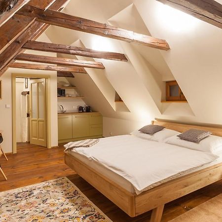 Babyka Apartments Český Krumlov Dış mekan fotoğraf